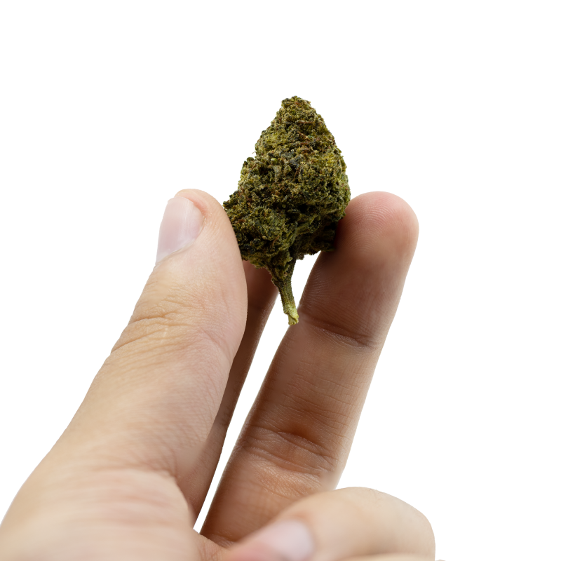 Fleur H4CBD 16% - CANNATONIC