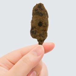 Moonrock H4CBD