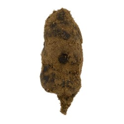 Moonrock H4CBD