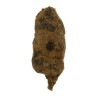 Moonrock H4CBD