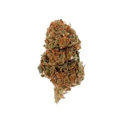 Fleur de CBD - SMALL BUD...