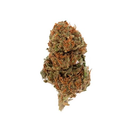 Fleur de CBD - SMALL BUD PREMIUM FRUITY