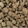 Fleur de CBD - SMALL BUD PREMIUM FRUITY