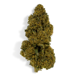 Fleur THCP 5% - FOREST DREAM