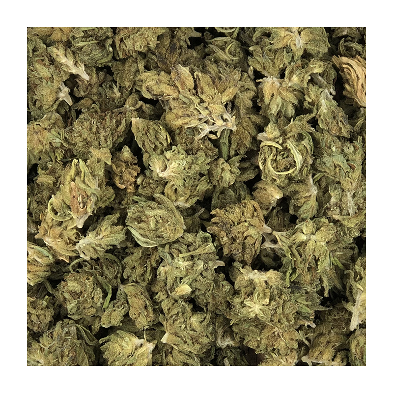 Fleur de CBD BIO - MINI BUD PROVENCE