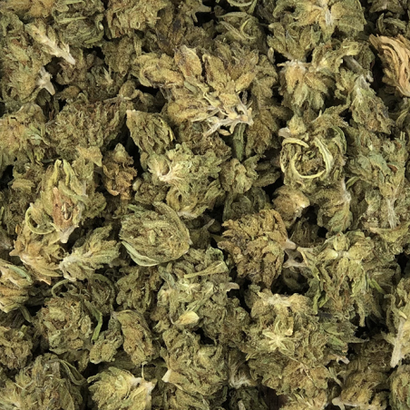 Fleur de CBD BIO - MINI BUD PROVENCE