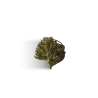 Fleur de CBD BIO - MINI BUD PROVENCE