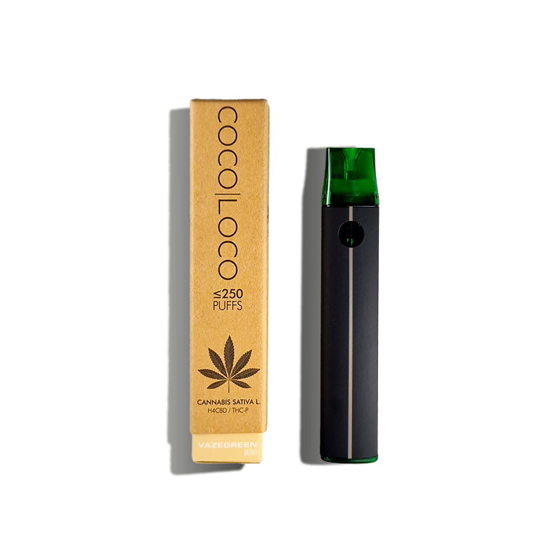 elfbar elfa master akku Coco Loco 100ml main image 0