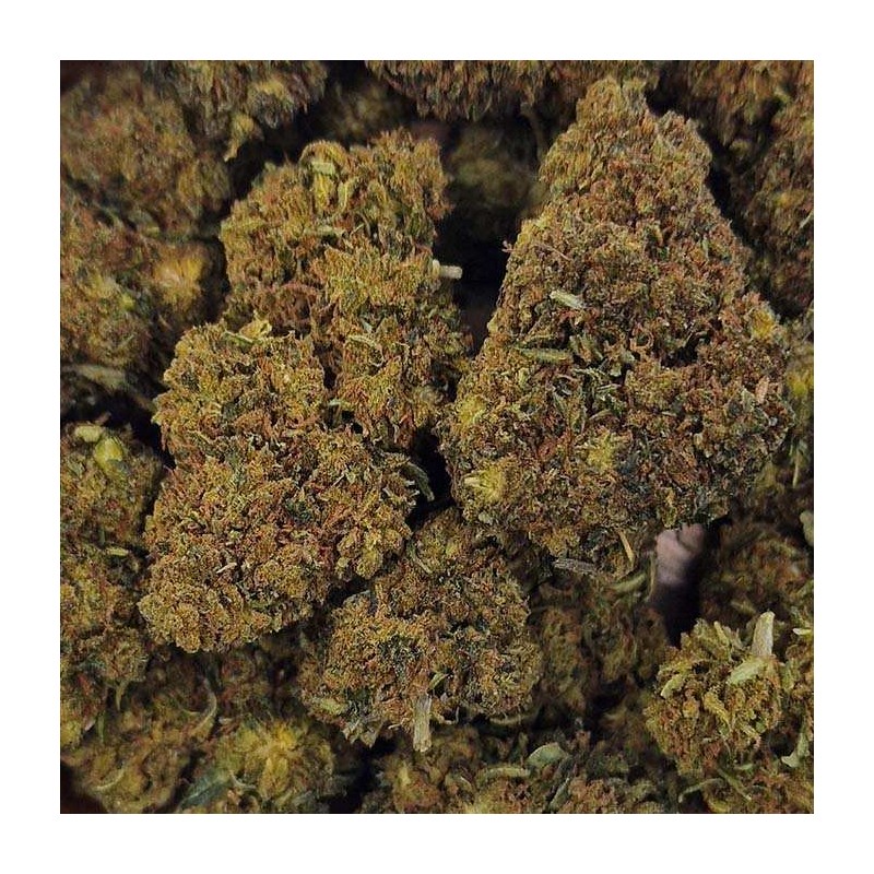 Fleur THCPO 5% - MYSTIC LADY FRUIT