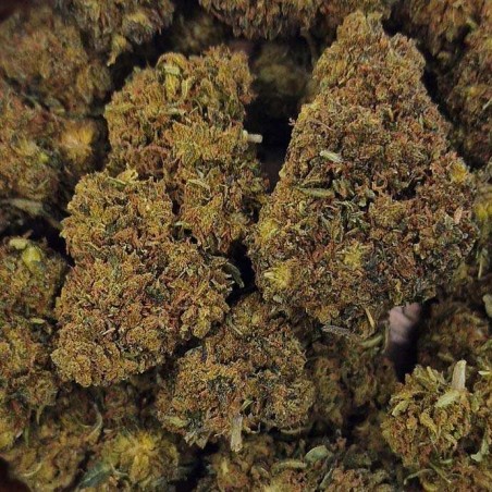 Fleur THCPO 5% - MYSTIC LADY FRUIT