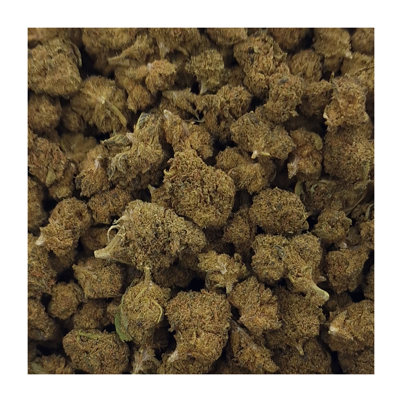 Fleur de CBD - SMALL BUD PREMIUM WOODY