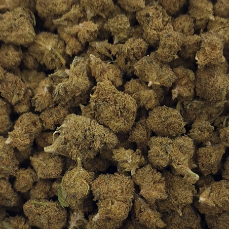 Fleur de CBD - SMALL BUD PREMIUM WOODY