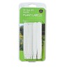 Étiquettes Blanches pour Plantes 15cm lot de 25