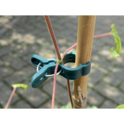 Petites pinces à plantes...