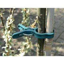 Grandes pinces à plantes...