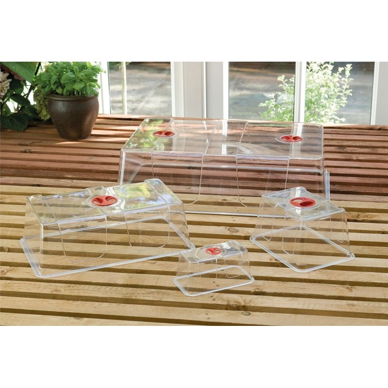 Couvercle de serre propagator High dome