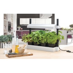 Lampe de Culture Micro Grow...