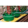 Halos de Plantes (Ensemble de 3) Vert