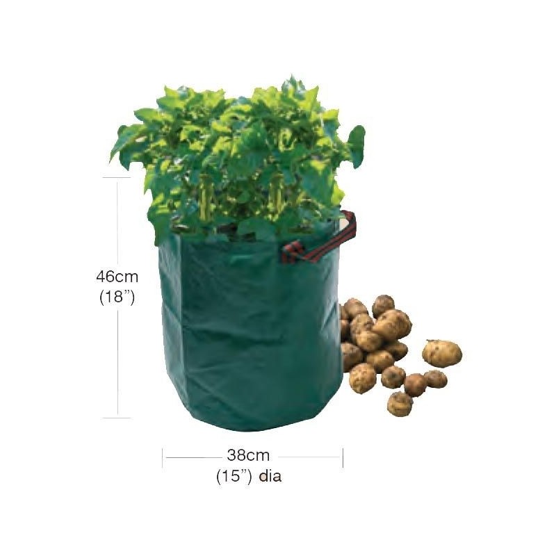 Sac de pommes de terre