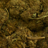 Fleur THCP 5% - MANGO KUSH