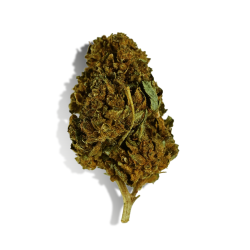 Fleur THCP 5% - MANGO KUSH