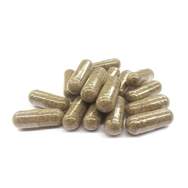 Gélule CBD & champignon anti-stress | FUNGO
