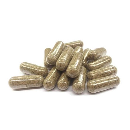 Gélule CBD & champignon anti-stress | FUNGO