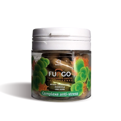 Gélule CBD & champignon anti-stress | FUNGO