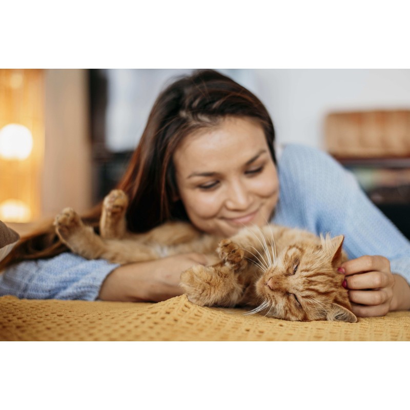 Huile CBD animaux 3% poulet | NOVALOA