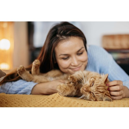 Huile CBD animaux 3% poulet | NOVALOA