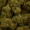 Fleur de CBD - BUDDHA OG