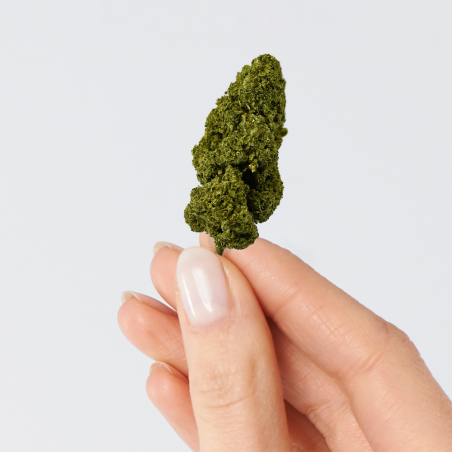 Fleur de CBD - CREAMY FED TONIC