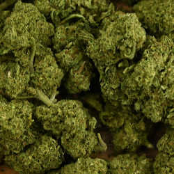 Fleur de CBD - CREAMY FED TONIC
