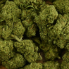 Fleur de CBD - CREAMY FED TONIC