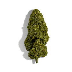 Fleur de CBD - CREAMY FED TONIC