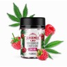 Bonbon CBD framboise | GREENEO