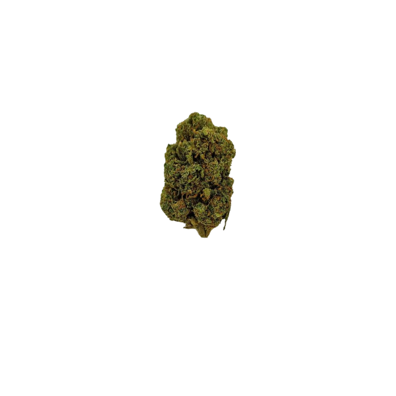 Fleur de CBD - ORANGE BUD