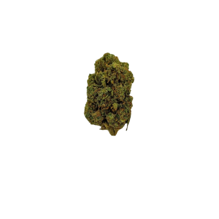 Fleur de CBD - ORANGE BUD