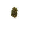 Fleur de CBD - ORANGE BUD